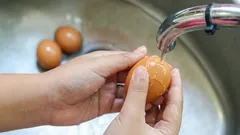 É mesmo necessário lavar os ovos antes de os colocar no frigorífico? Eis o que deve saber.