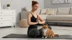 Sabia por que é que os gatos são atraídos pelo cheiro do suor humano?