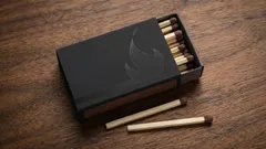 Coloque uma caixa de fósforos atrás do vaso sanitário e livre-se rapidamente de dois problemas incômodos.