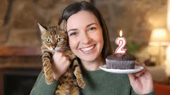 Aniversário do seu gato: as 4 melhores ideias para o felicitar