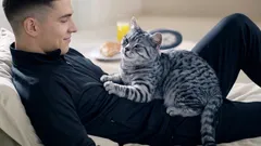 Como saber se o seu gato gosta mesmo de si: 9 sinais de confiança a observar