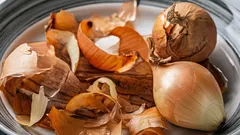 O fertilizante que aumenta a produtividade de todos os legumes da sua horta — e não custa nada