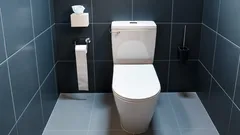 Feche sempre a tampa da sanita: razões inesperadas que quase ninguém conhece