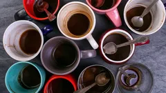 Devolva-lhes o aspeto original: como remover facilmente manchas de chá de chávenas e garrafas térmicas