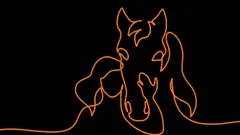 Ilusão ótica para testar o seu subconsciente: o que vê em primeiro lugar?