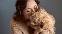 Raças de cães que praticamente não cheiram: a melhor escolha para uma casa fresca e limpa