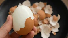 Como cozinhar ovos para que a casca se solte facilmente: método profissional detalhado.