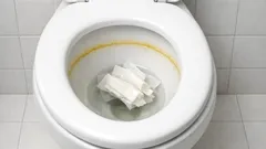 O truque do papel higiénico com vinagre branco para tirar o calcário da sanita