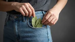 Porque é que algumas pessoas trazem uma folha de louro no bolso, mesmo as que não acreditam em superstições