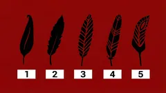 Teste visual das penas: a primeira que vês revela traços da tua personalidade?