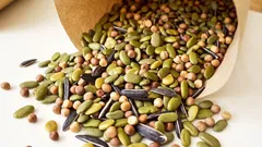 Que sementes deve deixar de molho antes da sementeira: tenha isto em mente