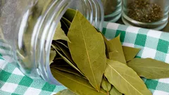 Porque deve colocar uma folha de louro debaixo do frigorífico na cozinha: a resposta é conhecida por poucos