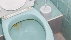 Como limpar a sanita de depósitos amarelos: métodos ineficazes e eficazes