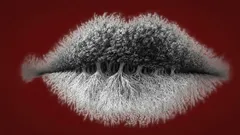 Teste de personalidade: o que vê primeiro revela se é introvertido, extrovertido ou ambivertido